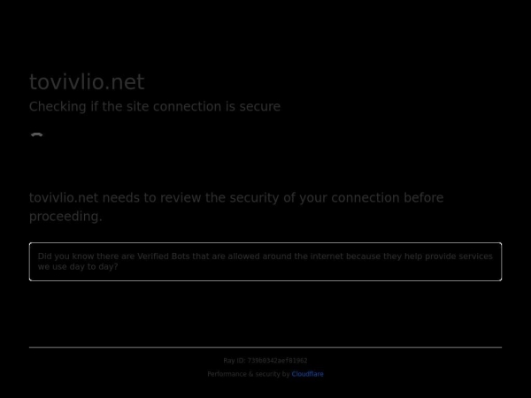 tovivlio.net